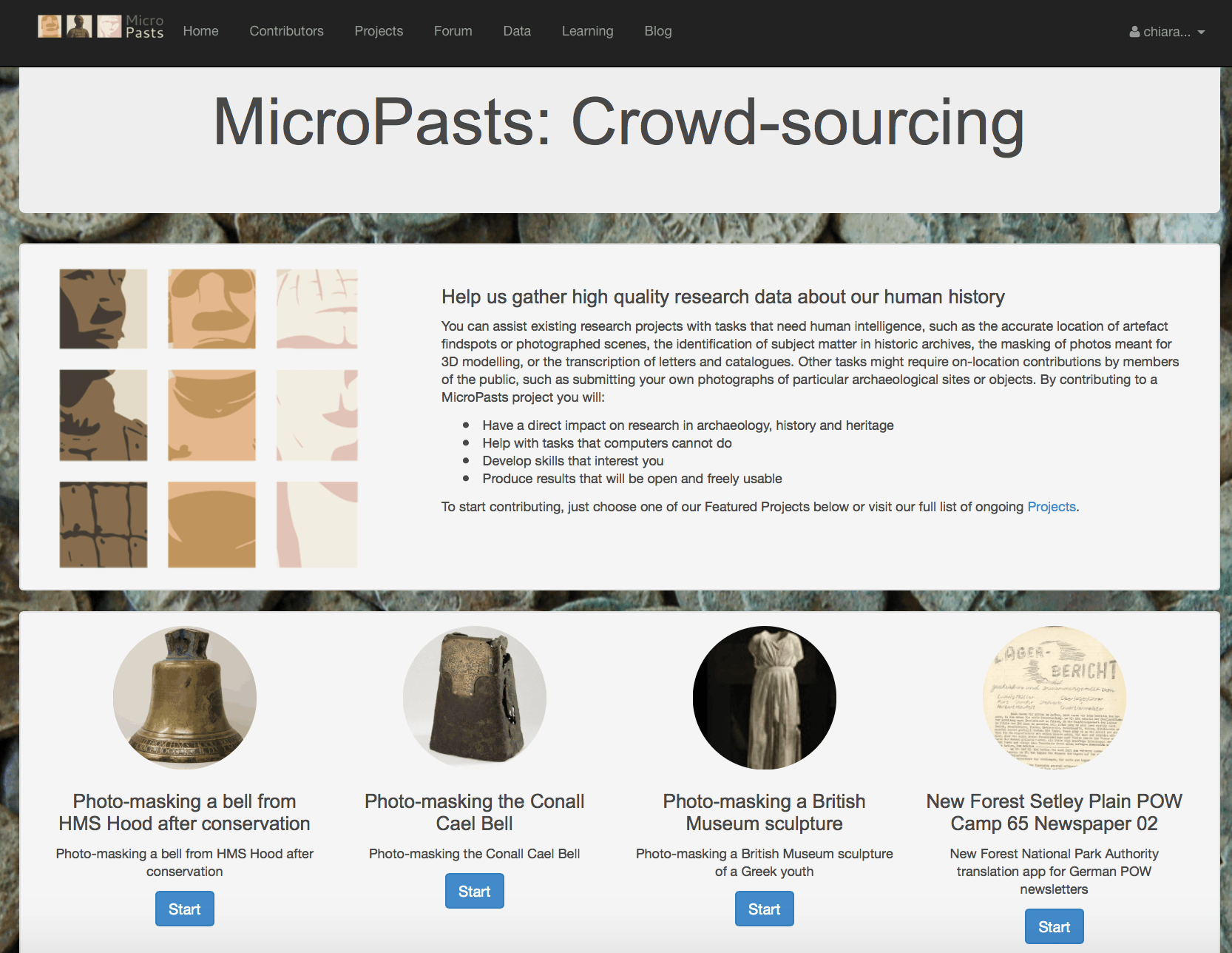La piattaforma di crowdsourcing MicroPasts.